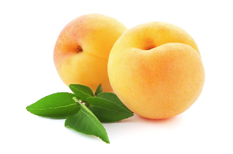 Aprikosenkerne